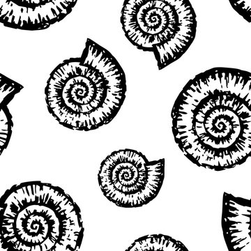 Vector background of seashells of nautiluses