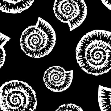 Vector pattern of seashells of nautiluses