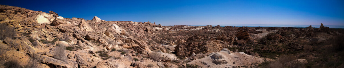 Panorama view to Plateau Ustyurt from the edge of Aral sea at Duana cape, Karakalpakstan, Uzbekistan