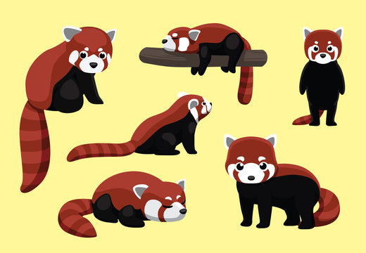 Red Panda Poses Cartoon Vector Illustration