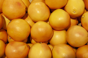 Oranges spread out evenly in the shop window.