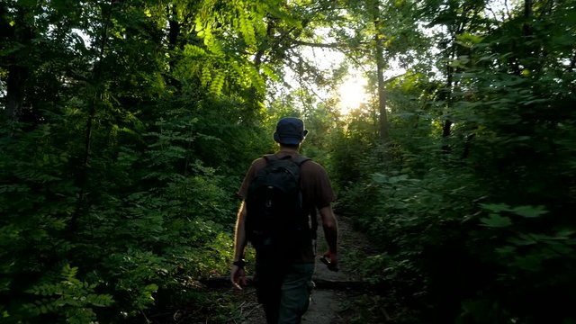 Tourist walks through green deep forest with sunset light 