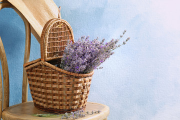 Fototapeta na wymiar Wicker basket with lavender flowers on chair against color background