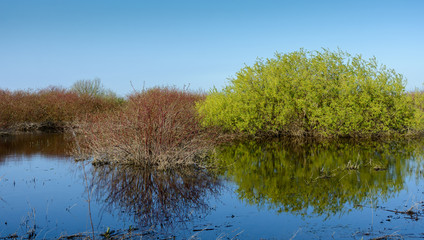 Spring high water near the village