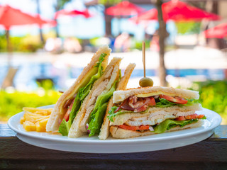 Sandwich for breakfast in white plate