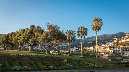 Obraz premium Camara de Lobos in Madeira island, Portugal