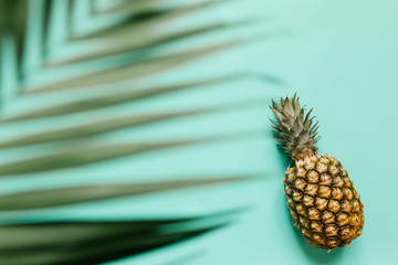 Ripe pineapple on turquoise background isolated. Minimalist style trendy tropical concept. Room for text, copy, lettering.