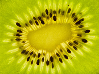 Fresh, beautiful,kiwi, sliced, photographed in macro closeup on white background.