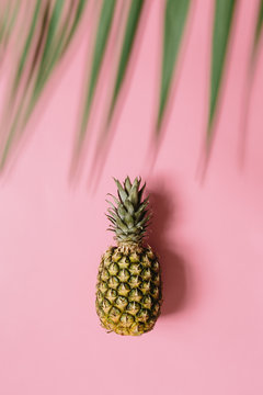 Ripe pineapple on pastel pink background isolated. Palm leaves border frame. Minimalist style trendy tropical concept.