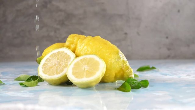 Frische BIO Zitrone