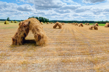 Hayricks in hut shape are laying on the meadow. Summer in Europe.