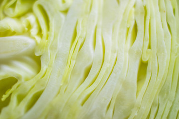 A background of cut cabbage close-up.