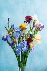 bunch of colorful irises