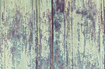wooden texture of doors and boards