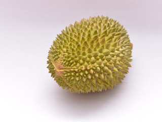 MUSANG KING Durian isolated on white background