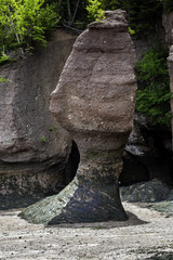 Hopewell Rocks pillar