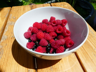 Himbeeren