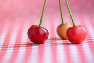 Three red cherries still life