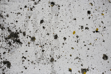 abstract stone surface pattern texture background