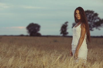 Young glamorous model posing in a field wheat