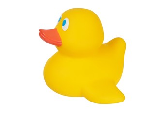 Yellow rubber duck