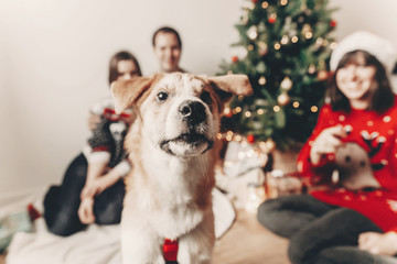 happy family in stylish sweaters and cute funny dog celebrating at christmas tree with lights. emotional moments. merry christmas and happy new year concept. space for text