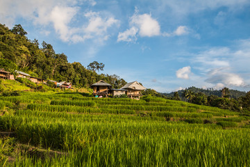 farm and sky in Thailand