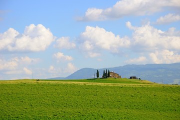 Obraz premium Beautiful landscape of hills, cypress trees and houses in Tuscany, Italy