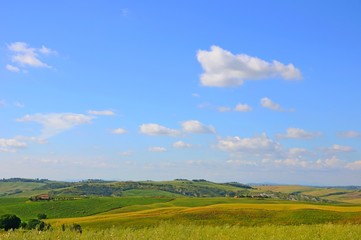 Fototapeta premium Beautiful landscape of hills, cypress trees and houses in Tuscany, Italy