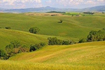 Obraz premium Beautiful landscape of hills, cypress trees and houses in Tuscany, Italy