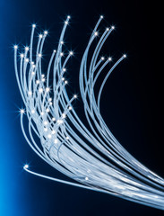 Bundle of optical fibers with lights in the ends. Blue background.