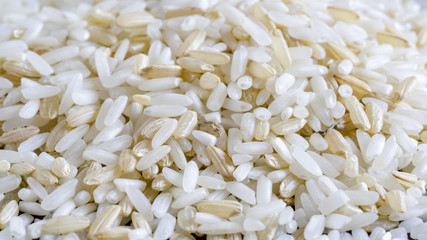 Brown and white rice grains. Food background. Close up