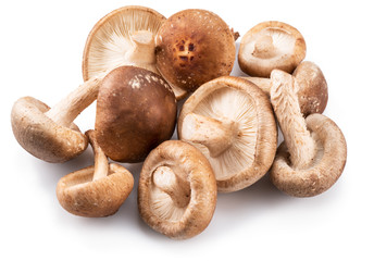 Shiitake mushrooms on the white background.