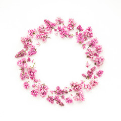 Wreath made of lilac flowers on white background, flat lay, top view