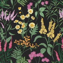 Fototapety  Romantyczny wzór z przetargu dziko kwitnące kwiaty i zioła kwitnące łąki używane w florystyce na czarnym tle. Kwiatowy ręcznie rysowane ilustracji wektorowych na tło, papier pakowy.