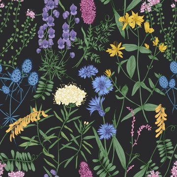 Botanical seamless pattern with romantic wild blooming flowers, meadow flowering herbs and herbaceous plants on black background. Natural hand drawn vector illustration for wallpaper, textile print.
