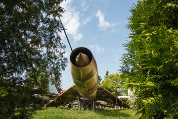 Fragment of a fuselage of an old jet fighter plane among plants