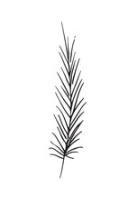Hand-drawn sketch of a plant, isolated on white background