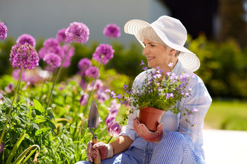 gardening and people concept - happy senior woman planting flowers at summer garden