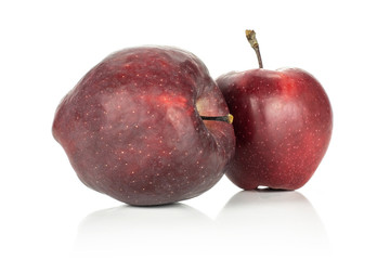 Two apples red delicious isolated on white background.