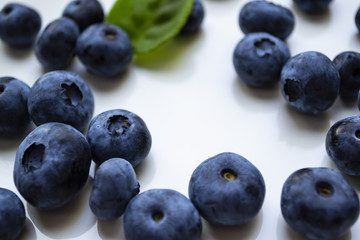 Blueberries on white background.