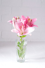 Branch with pink  lilies and green leaves in a glass of water, on white background.