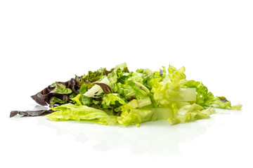 Fresh green lettuce red little gem variety chopped isolated on white...........................................................................