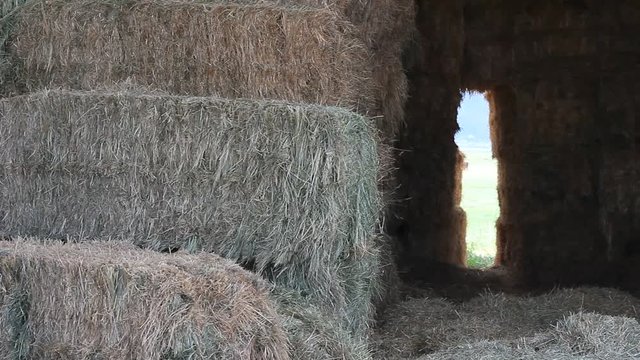 Hay barn with a hay tunnel at the back.
