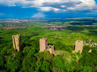 Ruins of Three castles near Colmar, Alsace. Aerial drone view - obrazy, fototapety, plakaty