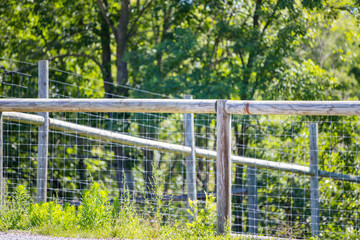 Close-up, view of a barbed-wire fence seen at the boundary of a dairy farm