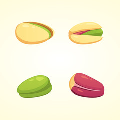 Set pistachio nut vector illustration in cartoon style. Organic food.
