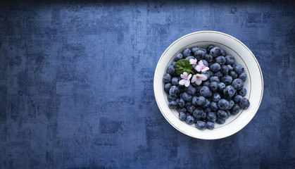 Blueberries in a white plate on a blue background.   