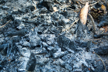 Heap of ash after the fire