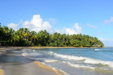 Ferien, Tourismus, Sommer, Sonne, Strand, Auszeit, Meer, Glück, Entspannung, Meditation, Palmen, Mangroven: Traumurlaub an einem einsamen, karibischen Strand :)